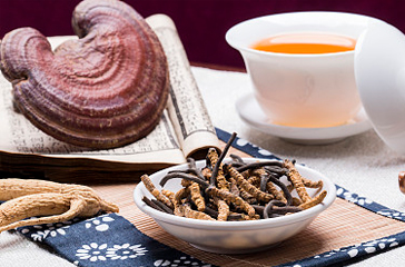 冬虫夏草、灵芝分别被纳入易危及近危级别