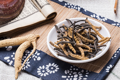 “冬虫夏草”销售势头旺！市场热度未减