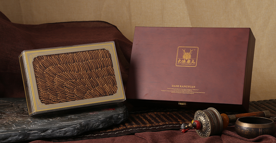 秋天怎么吃虫草？