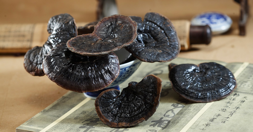 送你8个春季养生小常识！