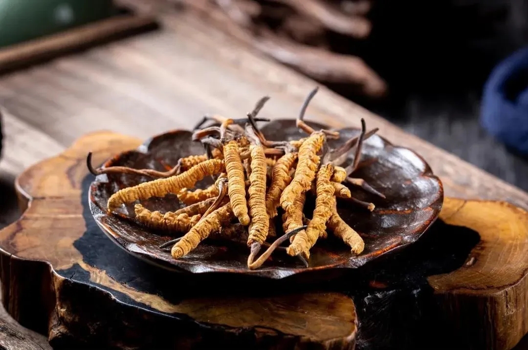 又到虫草采挖季，如何正确鉴别和服用虫草！