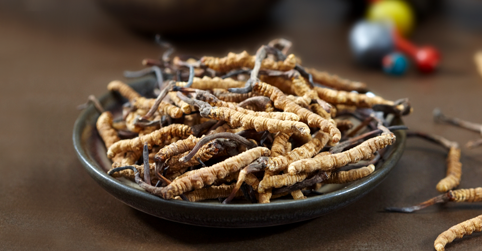 高考养生小贴士！为学子冲刺助力