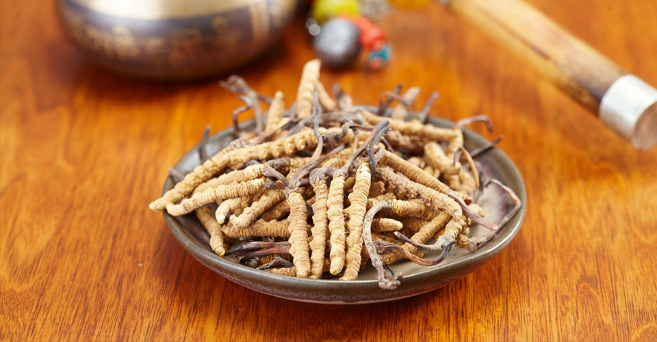 感觉身体被掏空？免疫系统功能或失衡